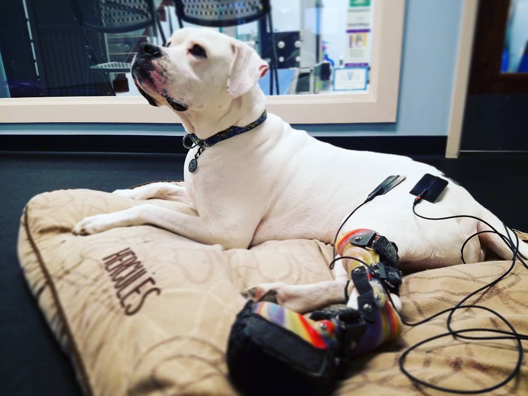 skylight for bedroom