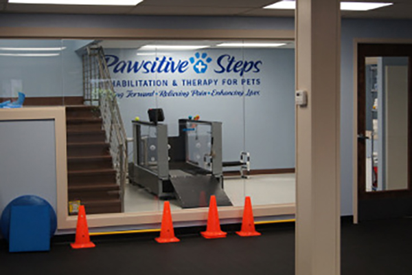 Pawsitive Steps