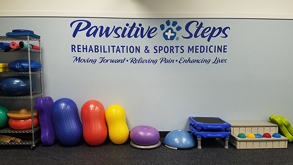 Pawsitive Steps