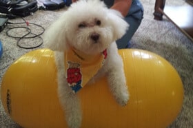 charlie