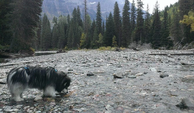 Nahanni