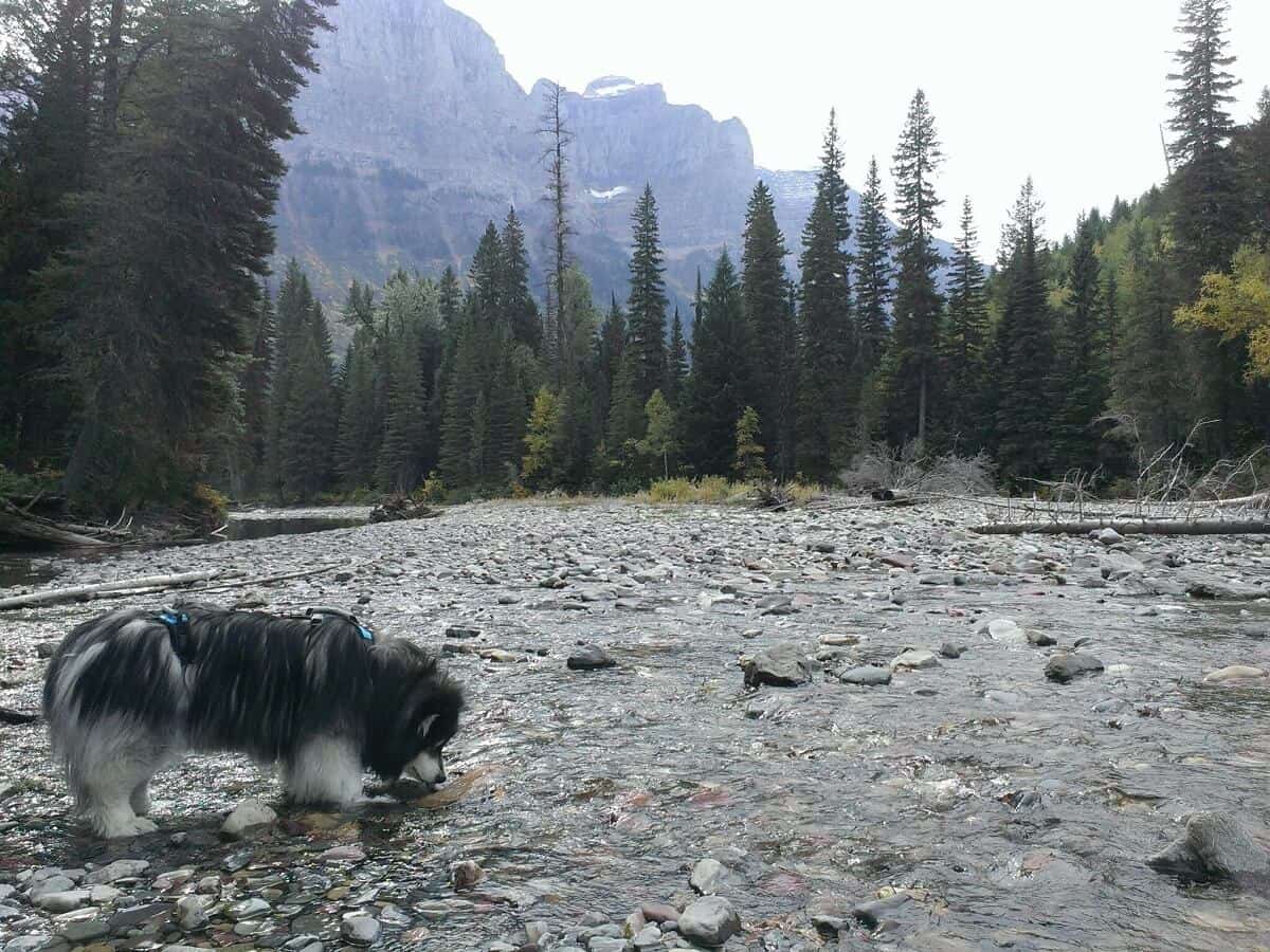Quality of Life