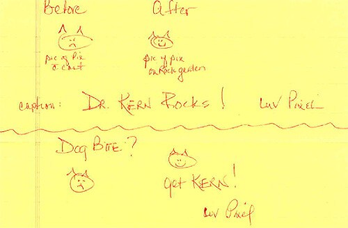 pet testimonial