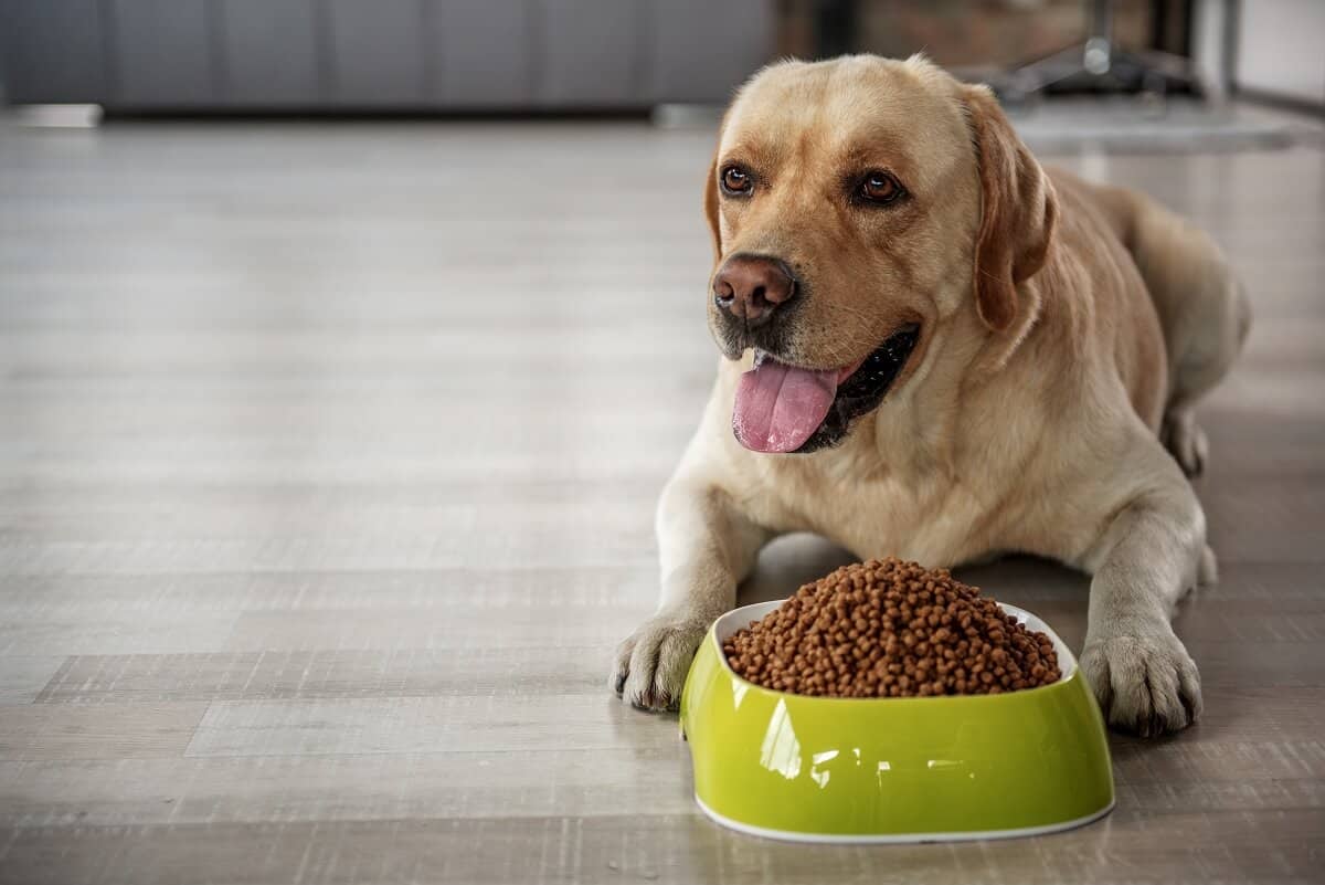 Weight Management