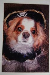 Bailey