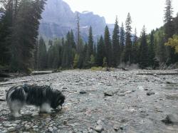 Nahanni