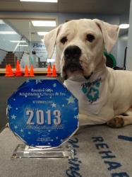 Hercules with our award